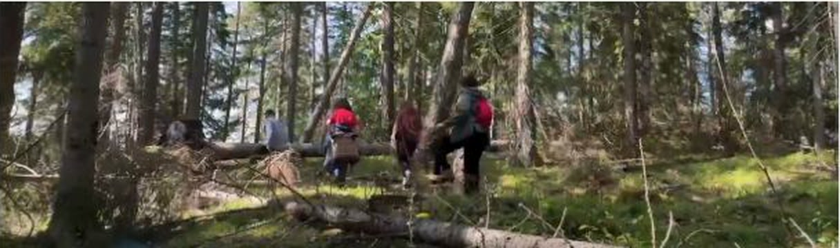 Performers crossing through the forest during the Midsummer research residency at Norra Backen, Sweden