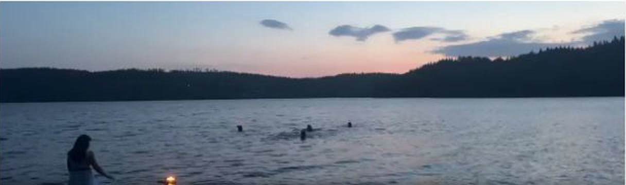 People entering a lake at dusk during the Into the Forest residency in Sweden
